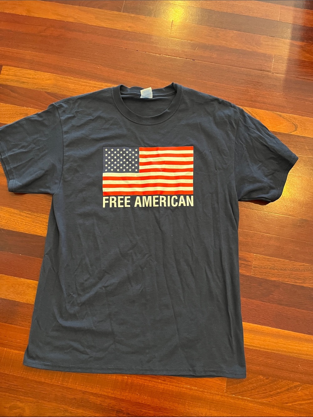 Mens Large InfoWars Free American Blue tee
